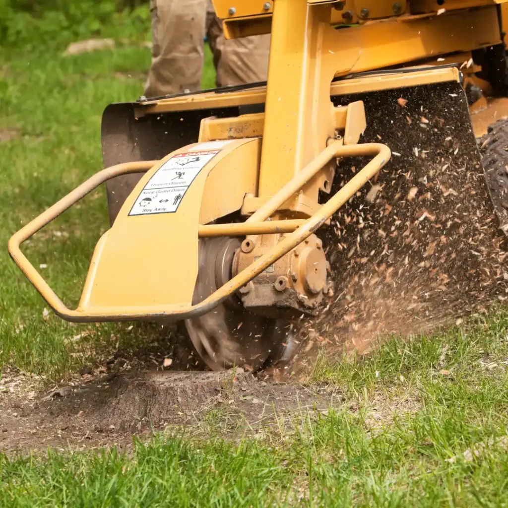 Stump Grinding Darwin 3